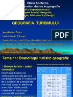 Tema 11. Brandingul Turistic Geografic PDF