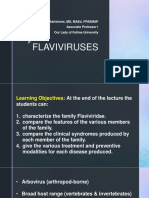 FLAVIVIRUSES Fbetl PDF