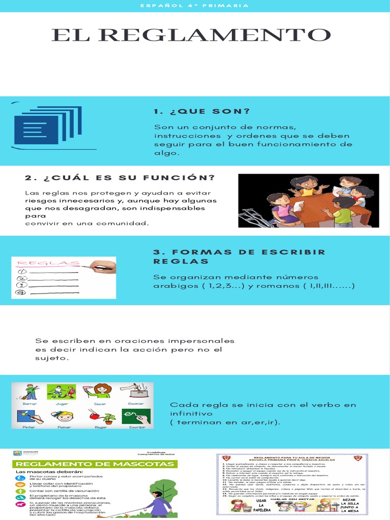 Infografia El Reglamento | PDF