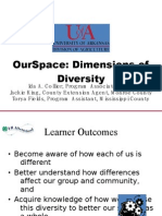 OurSpace Dimensions of Diversity
