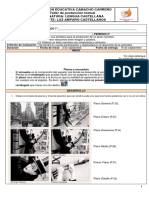 Guía de Planos y Encuandre - Tarea Acumulativa PDF