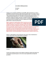 Sembrados de coca crecen en Colombia mientras la paz AVANZA (1)