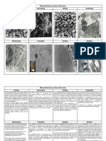 Microestructura_y_fases_del_acero_Ferrit.pdf