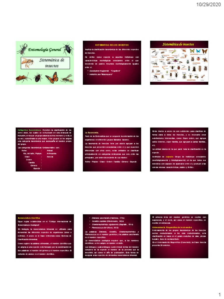 Unidad V - Sistematica de Insecto - Entomologia PDF | PDF | Libélula ...
