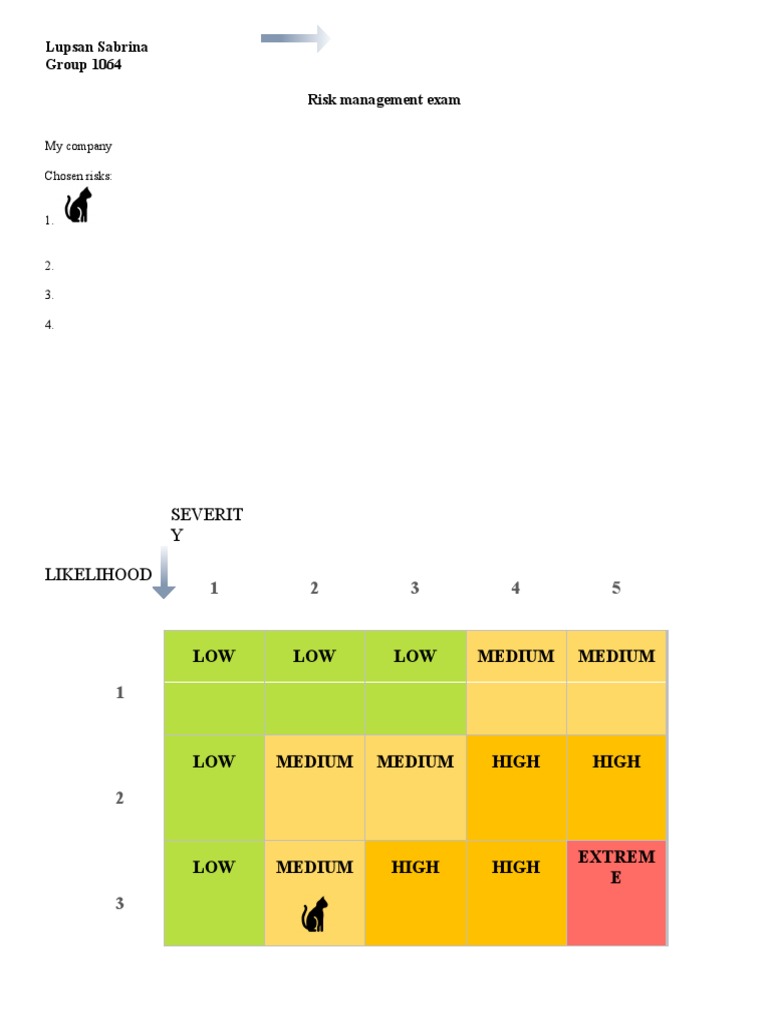 Lupsan Sabrina Group 1064 Risk Management Exam: Severit Y Likelihood | PDF