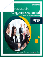 ORGANIZACIONAL.pdf