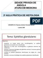 PrÃ¡tica EpitÃ©lio Glandular