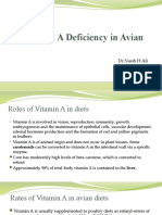 Vitamin A Deficiency in Avian