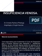 Guía Gráfica INSUFICIENCIA VENOSA