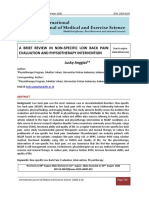 A Brief Review in Non-Specific Low Back Pain: Evaluation and Physiotherapy Intervention Lucky Anggiat