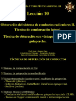 Leccion 10-Obturacion. Cond Lat. Vastago PDF