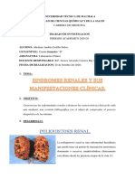 Trabajo de Investigación Sindromes Renales.