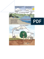 Ciclos Biogeoquimicos