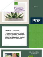 Contaminación, Basura y Cultura Del Descarte