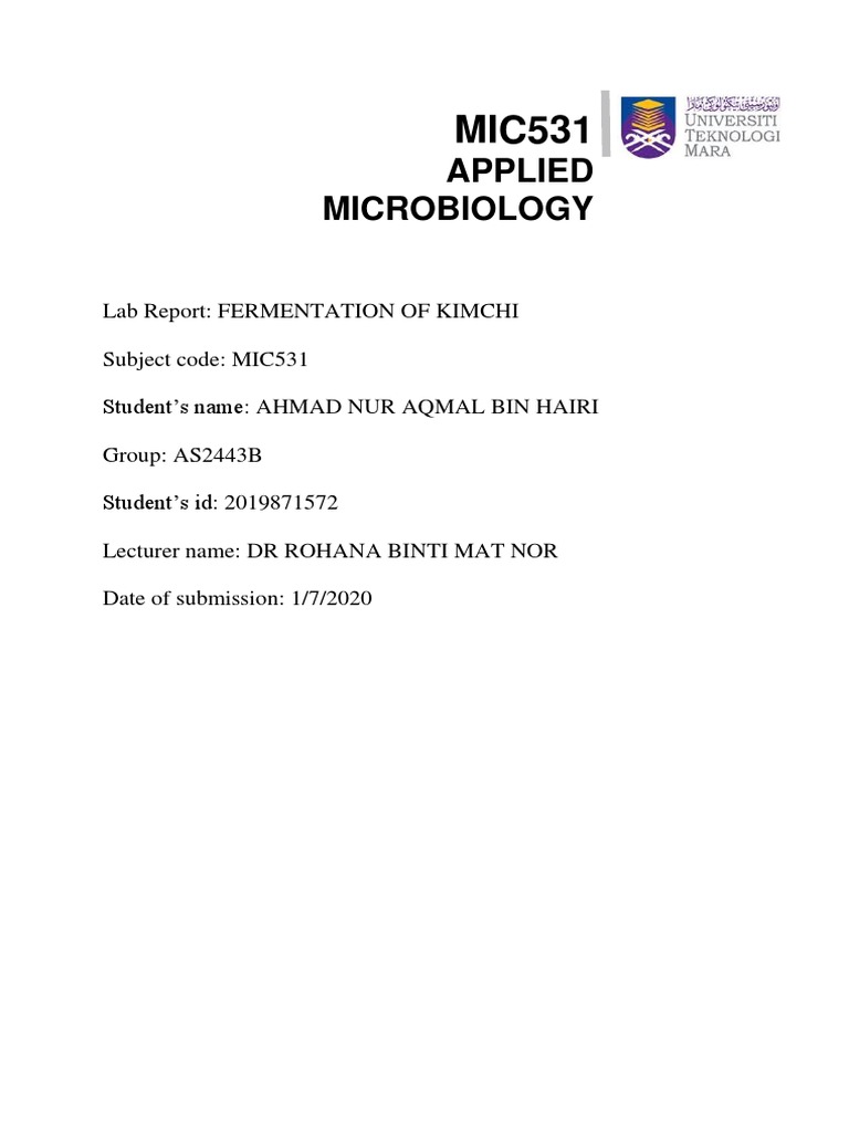 Lab Report Kimchi | PDF | Taste | Fermentation