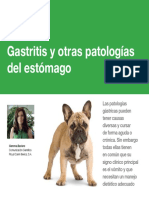 AV_26_Gastritis_patologias_estomago.pdf