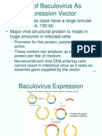 Use of Baculovirus As Expression Vector