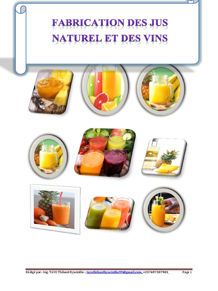 Comprimer Un Fruit Pour En Extraire Le Jus Fabrication Des Jus Et Naturel Et Des Vins | PDF | Vins | Fermentation