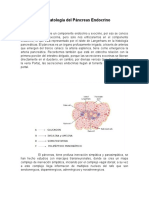 Fisiopatología Del Páncreas Endocrino