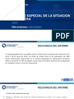 Presentacion Informe Proposito Especial