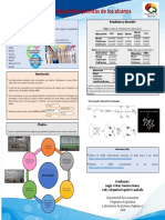 Poster Pratica 5 Propiedades Quimicas de Los Alcanos