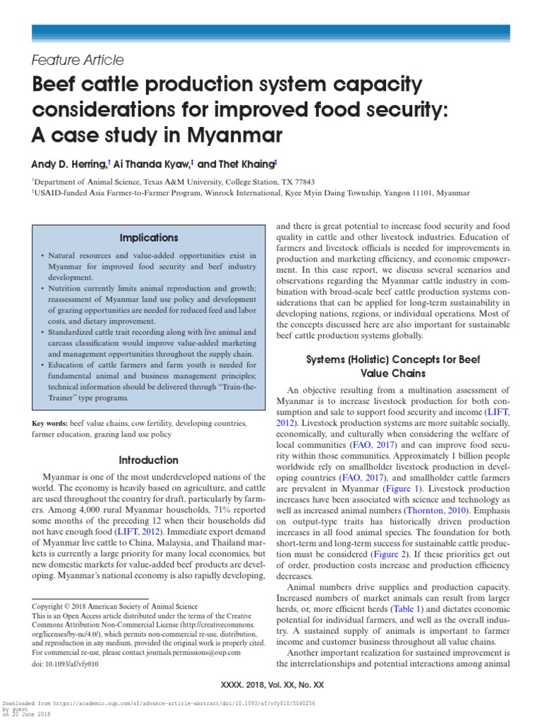 Beef Cattle Production System Capacity Considerati | PDF | Calf | Cattle