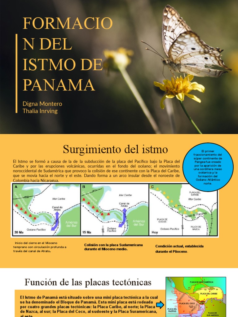Formacion Del Istmo de Panama | Descargar gratis PDF | Temblores