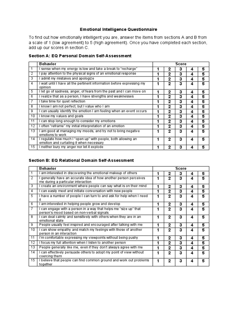 Emotional Intelligence Questionnaire PDF Emotional Intelligence