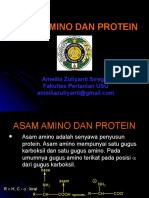 Asam Amino-Protein