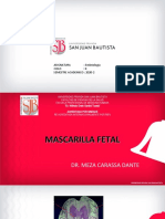 Mascarilla Fetal