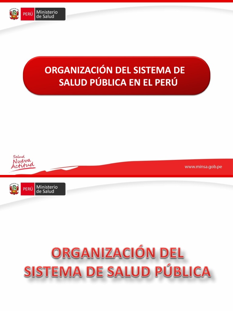 Organización del Sistema de Salud en Perú | PDF | Sistema de salud ...