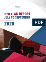 Red Flag Report PDF