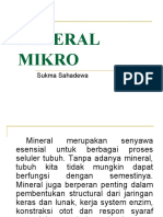 mikro mineral.ppt