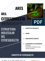 BASES MOLECULARES DEL CITOESQUELETO (1).pdf