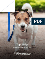 Top 10 Tips: For Taking Care of Your Pets