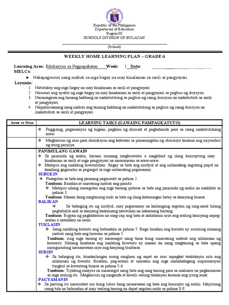 FINAL WEEKLY HOME LEARNING PLAN in ESP6 Week 1 Quarter 1 MODULE 1 | PDF