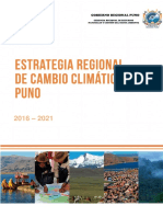 ERCC Puno 2016-2021.pdf