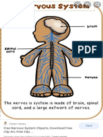Free Nervous System Cliparts, Download Free Clip Art, Free Clip ..
