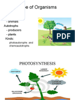 Photosynthesis Process and Factors | PDF | Photosynthesis | Plants