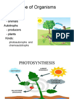 PHOTOSYNTHESIS