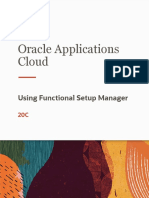 Using Functional Setup Manager PDF