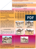 Body Measurements in Maghrebi Camel Types in The Southern Tunisia