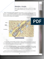 60.pdf