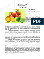 Download BUDIDAYA JERUK by Muhammad Afrizal SN48766068 doc pdf