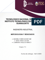 Metodologia y Resultados de Encuesta