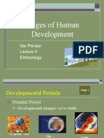 Stages of Human Development: Ilse Pienaar Embryology