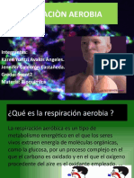 Respiraciòn Aerobia