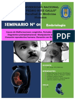 Seminario N°1 Bases Moleculares Del Desarrollo Embrionario