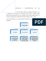 Conceptos, Clasificación y Características de Las Organizaciones