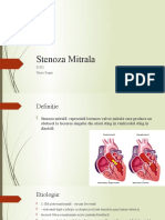 Stenoza Mitrala